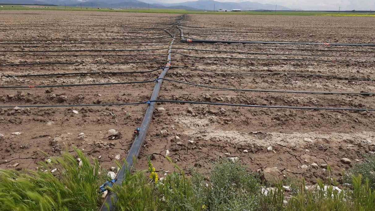 Niğde’de üreticiler hibe desteği sağlanacak