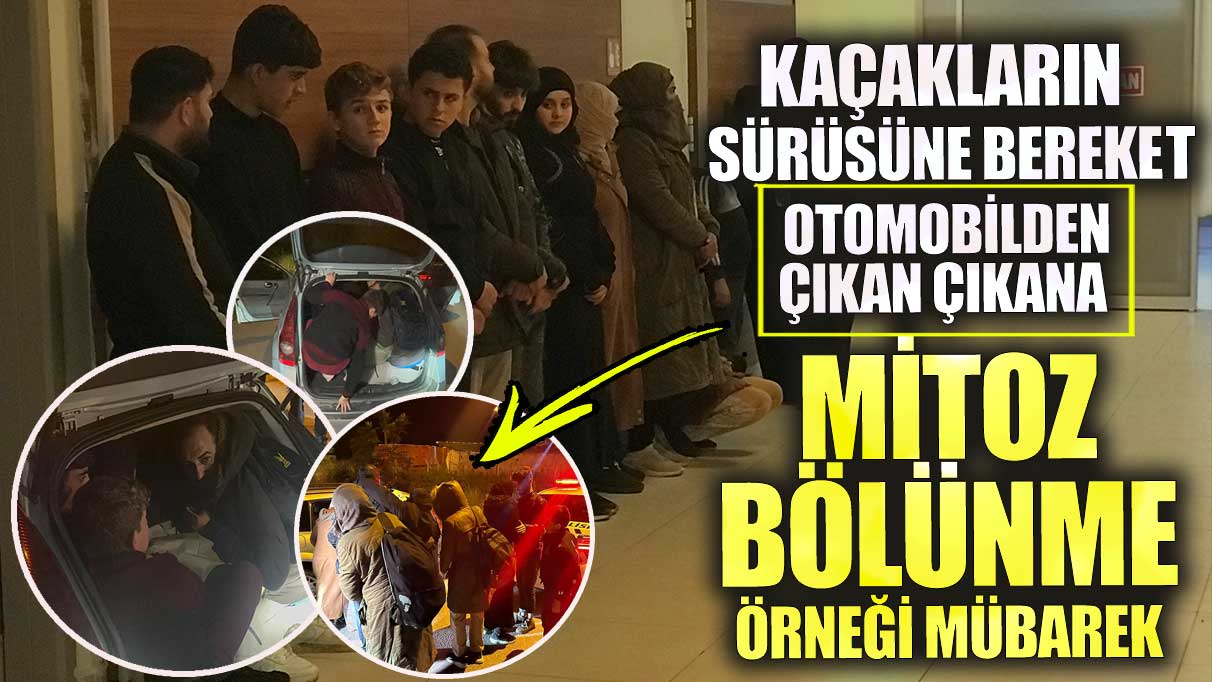 Kaçakların sürüsüne bereket! Otomobilden çıkan çıkana