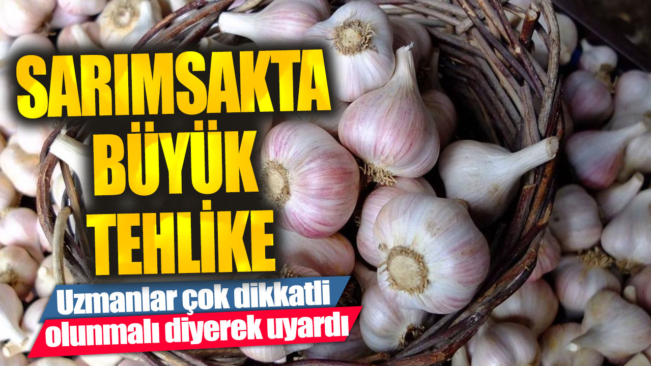 Sarımsakta büyük tehlike!  Uzmanlar çok dikkatli olunmalı diyerek uyardı