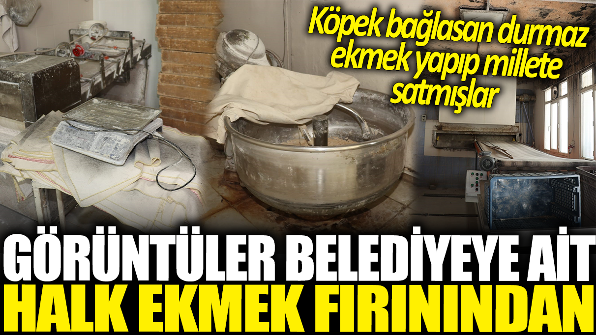 Görüntüler belediyeye ait halk ekmek fırınından: Köpek bağlasan durmaz ekmek yapıp millete satmışlar