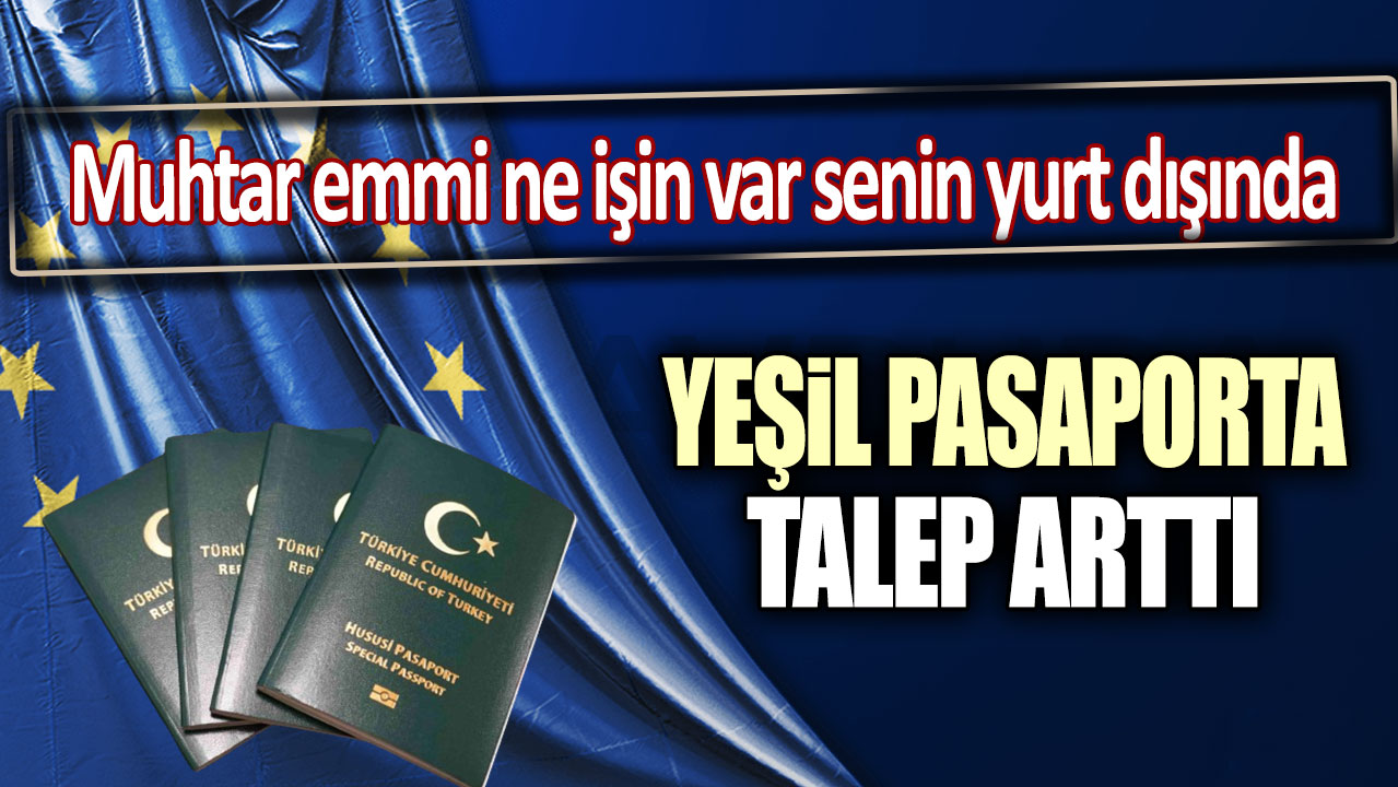 Meslek gruplarından yeşil pasaporta talep arttı