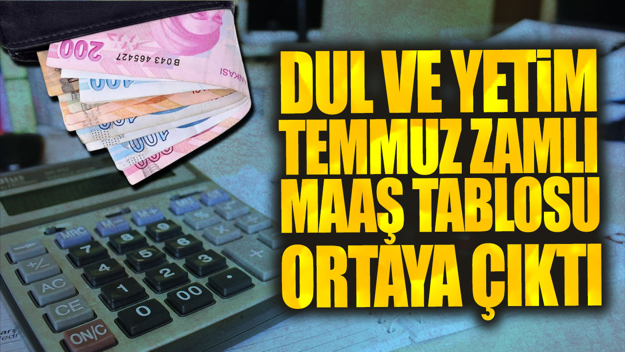 Dul ve yetim 65 yaş evde bakım engelli aylıklarının temmuz zamlı maaş tablosu ortaya çıktı