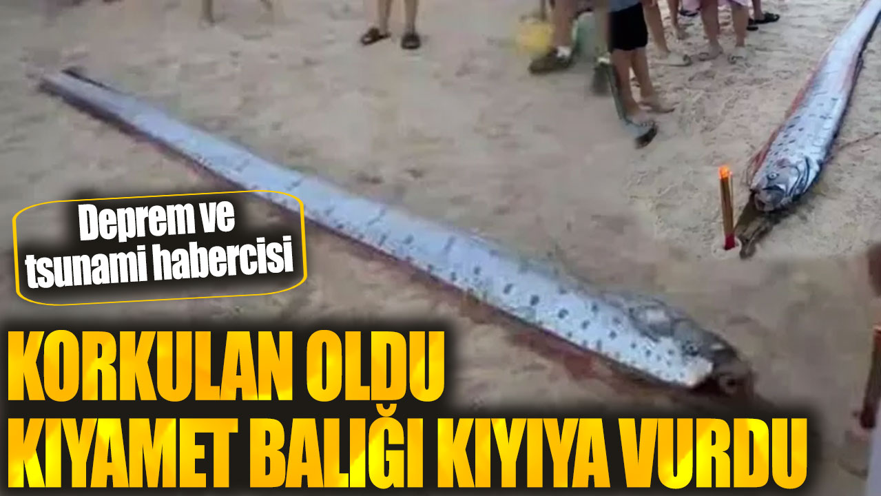 Korkulan oldu kıyamet balığı kıyıya vurdu! Deprem ve tsunami habercisi