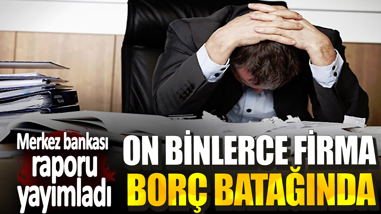 Merkez bankası raporu yayımladı! On binlerce firma borç batağında