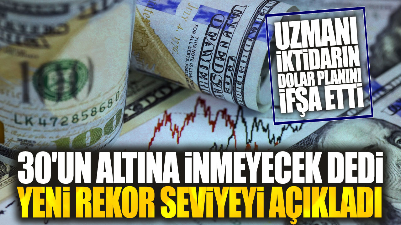 Uzmanı iktidarın dolar planını ifşa etti: 30'un altına inmeyecek dedi yeni rekor seviyeyi açıkladı