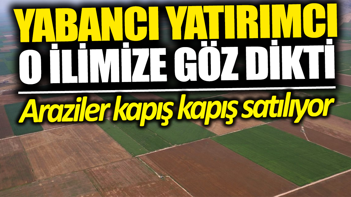 Yabancı yatırımcı o ilimize göz dikti: Araziler kapış kapış satılıyor