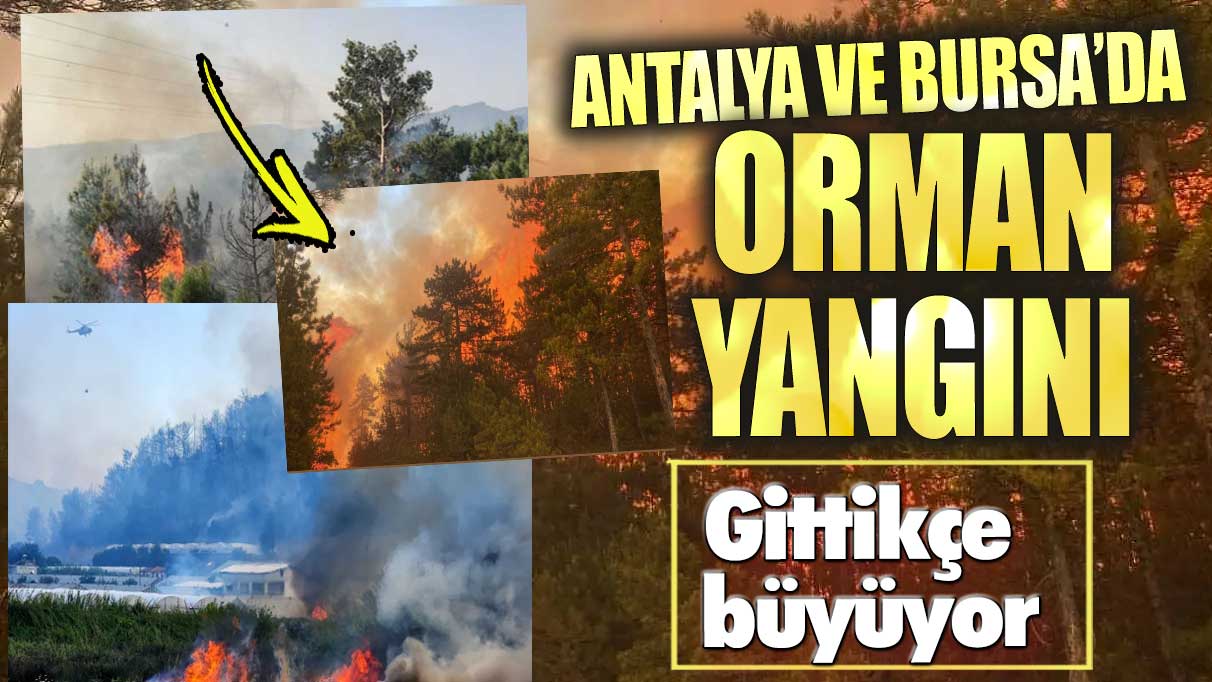 Son dakika Bursa ve Antalya'da orman yangını!