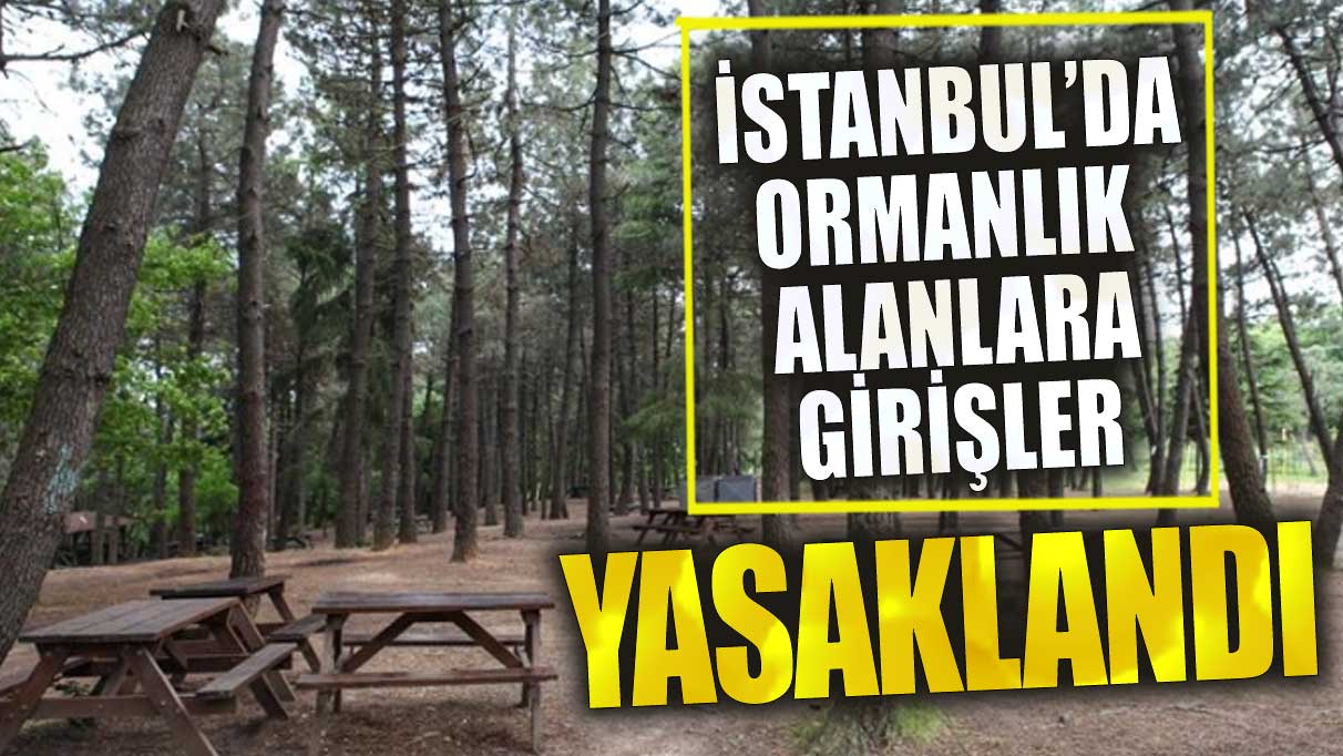 İstanbul Valiliği duyurdu: Yasaklandı