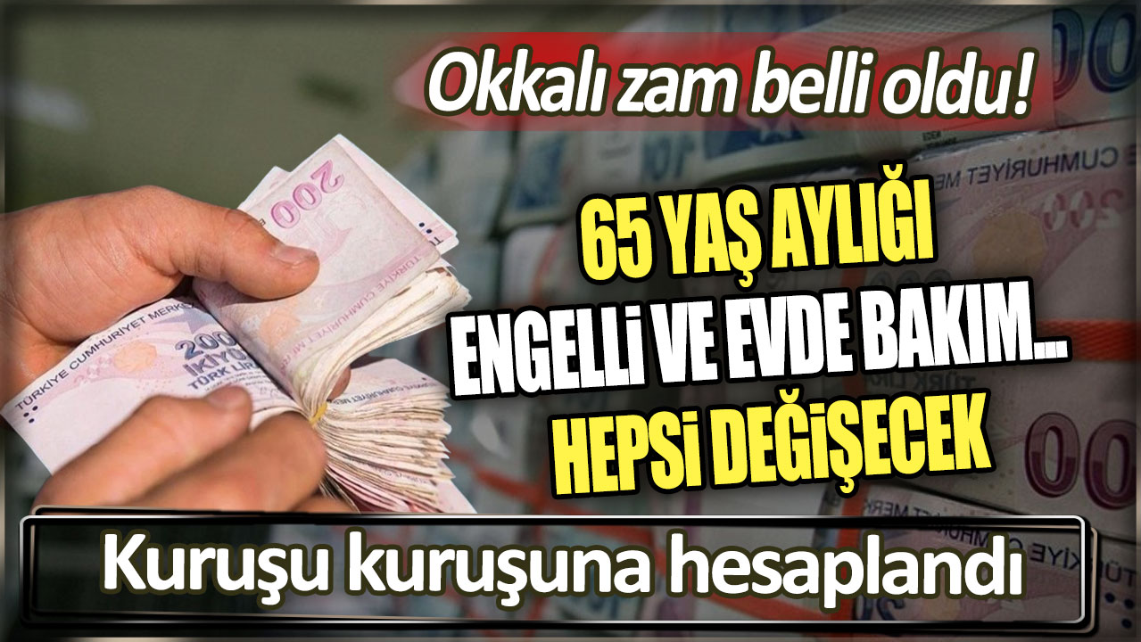 65 yaş aylığı evde bakım ve engeli maaşı ... Hepsi değişecek: Okkalı zam belli oldu