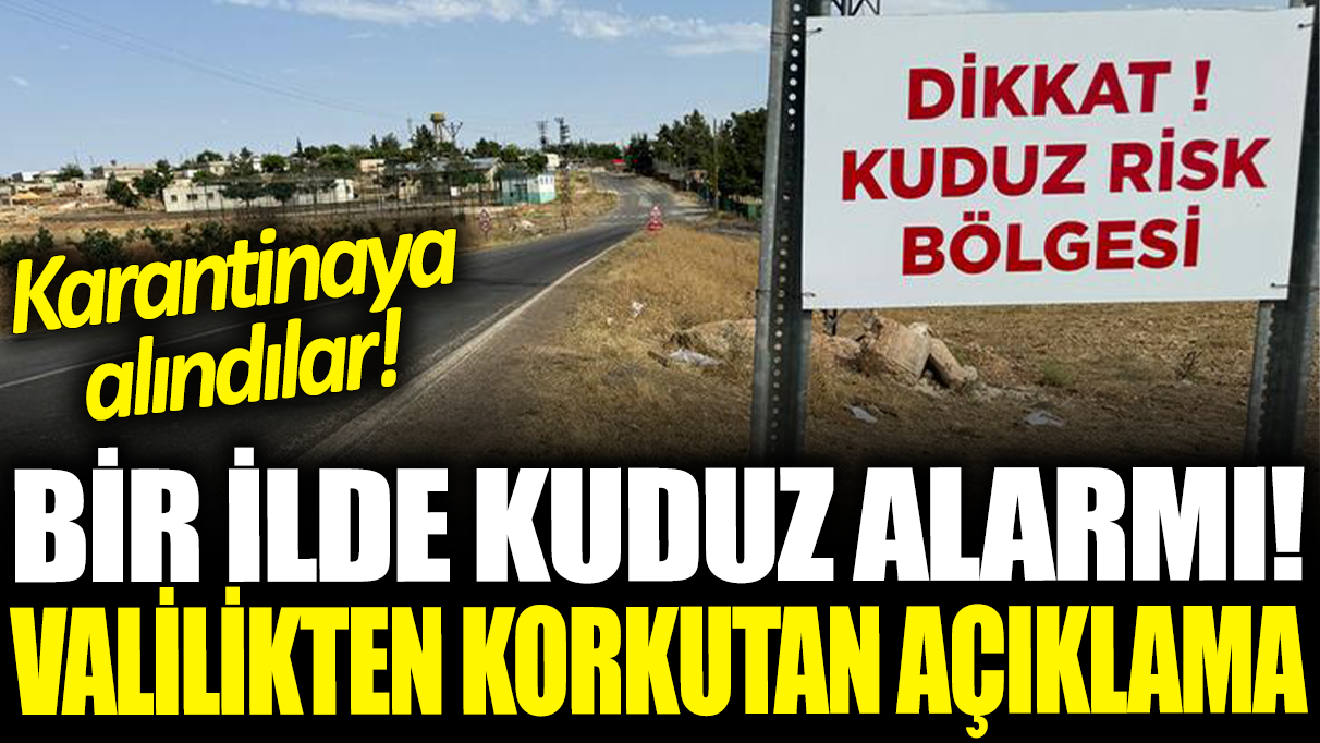 Şanlıurfa'da 'kuduz' alarmı! Belediye ve valilikten açıklama: Karantinaya alındılar