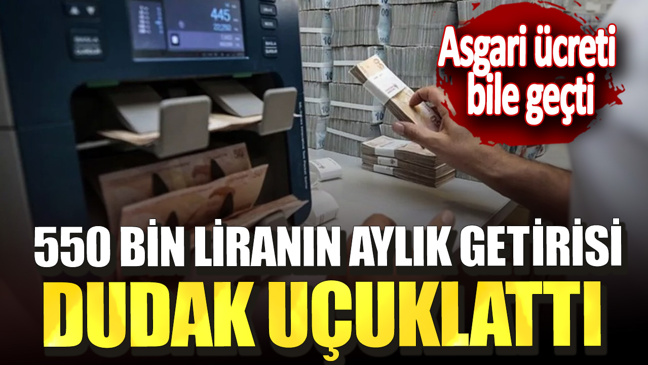 Asgari ücreti bile geçti! 550 bin liranın aylık getirisi dudak uçuklattı