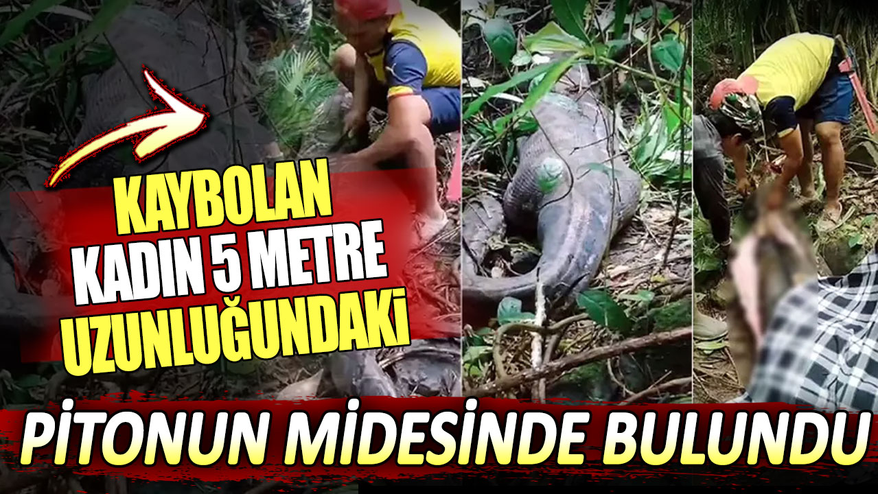 Kaybolan kadın 5 metre uzunluğundaki pitonun midesinde bulundu