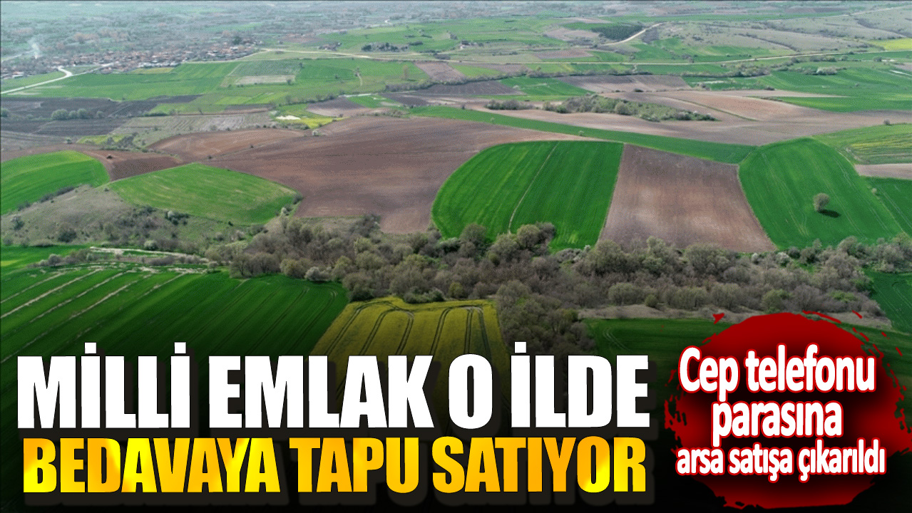 Cep telefonu parasına arsa satışa çıkarıldı! Milli Emlak o ilde bedavaya tapu satıyor