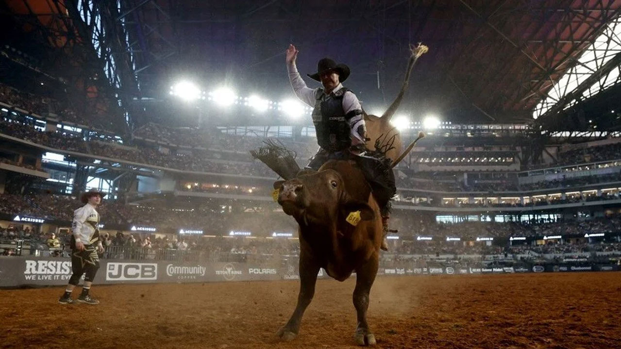 ABD'de boğa seyircilerin arasına daldı: Yaralılar var