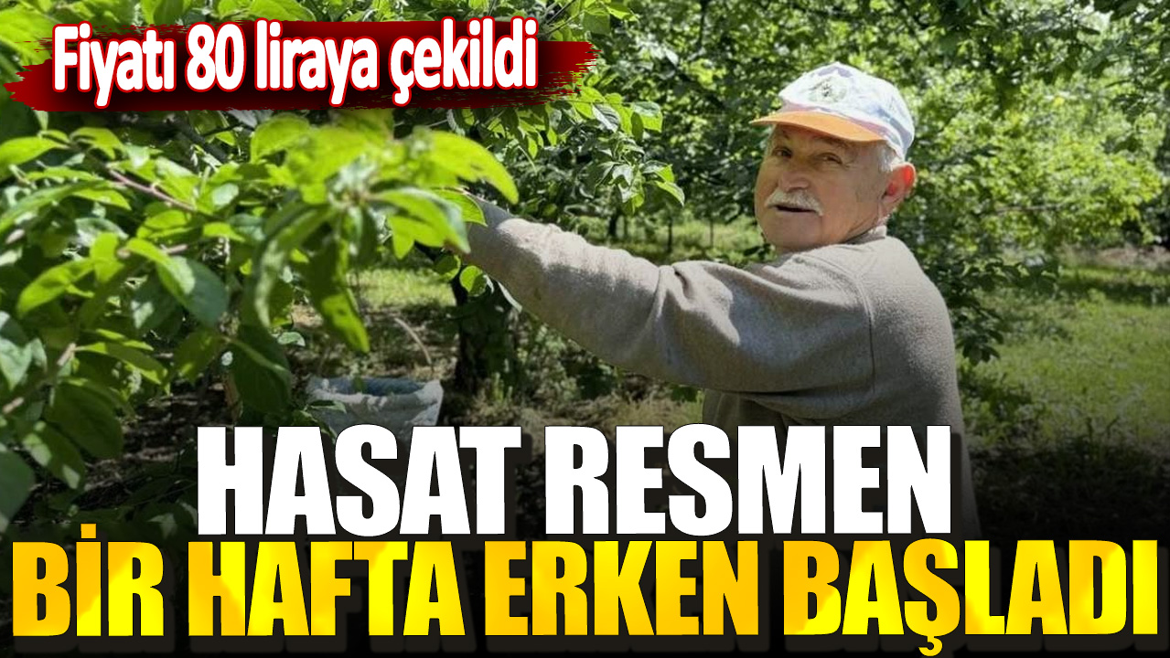 Hasat resmen bir hafta erken başladı! Fiyatı 80 liraya çekildi