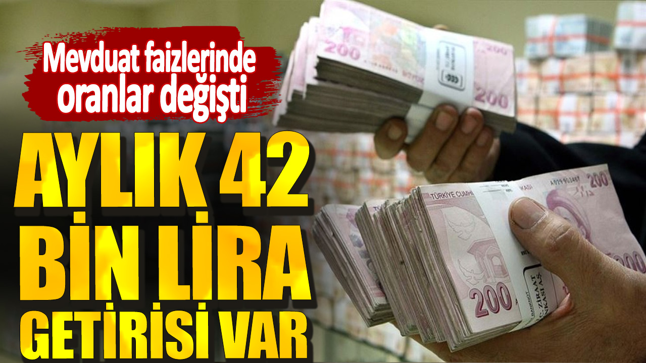 Aylık 42 bin lira getirisi var: Mevduat faizlerinde oranlar değişti