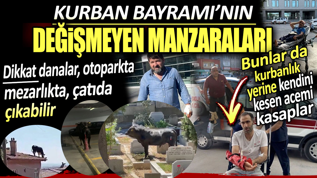 Kurban Bayramı'nın değişmeyen manzaraları