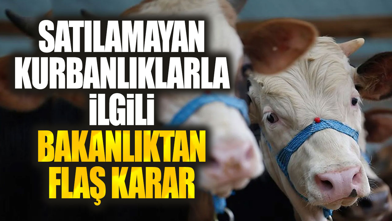 Satılamayan kurbanlıklarla ilgili bakanlıktan flaş karar