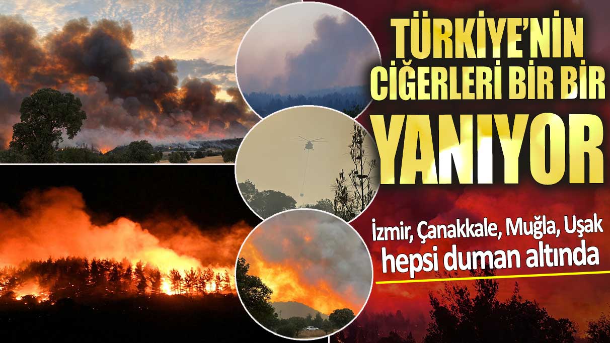 Türkiye’nin ciğerleri bir bir yanıyor! 4 il duman altında