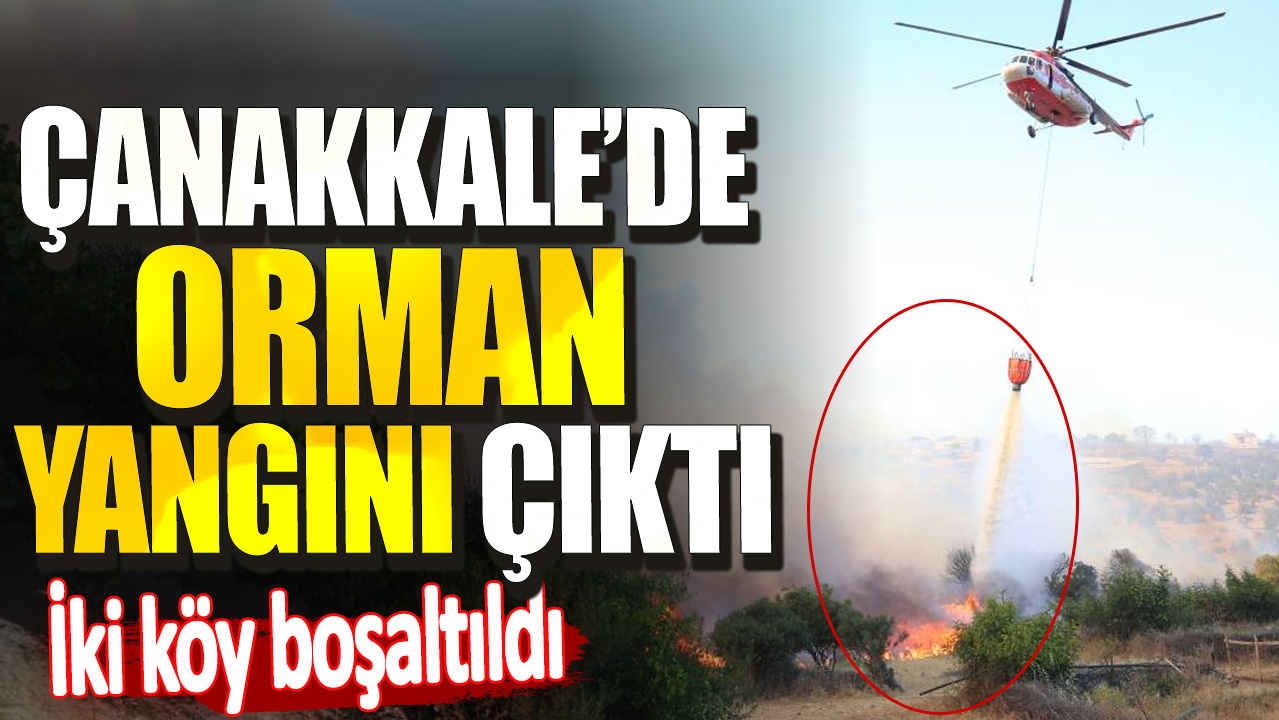 Çanakkale’de orman yangını çıktı. İki köy boşaltıldı