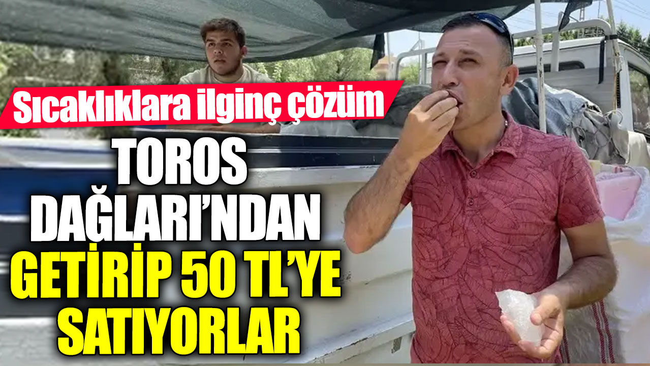 Sıcaklıklara ilginç çözüm! Toros Dağları’ndan getirip 50 TL’ye satıyorlar