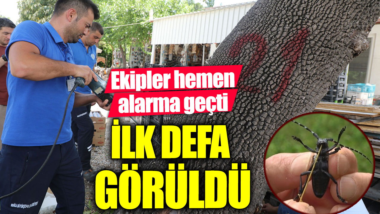 İlk defa görüldü. Ekipler hemen alarma geçti