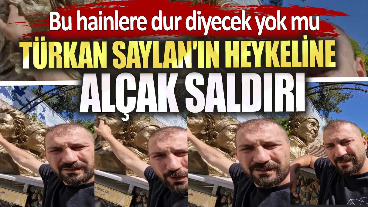 Türkan Saylan'ın heykeline alçak saldırı. Bu hainlere dur diyecek yok mu