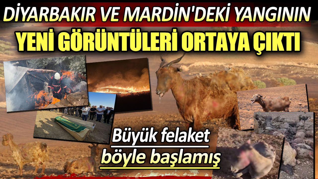 Diyarbakır ve Mardin'deki yangının yeni görüntüleri ortaya çıktı