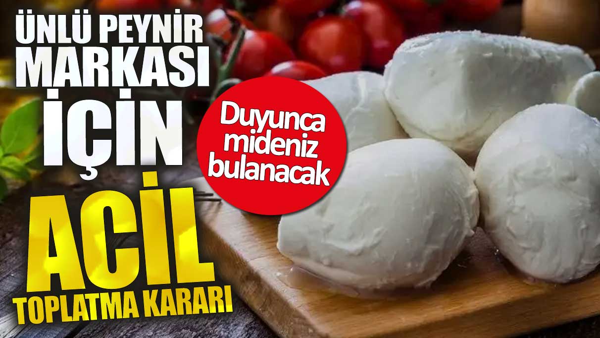 Ünlü peynir markası için acil toplatma kararı. Duyunca mideniz bulanacak