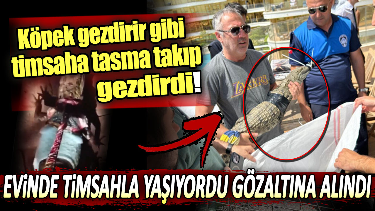 Köpek gezdirir gibi timsaha tasma takıp gezdirdi. Evinde timsahla yaşıyordu gözaltına alındı