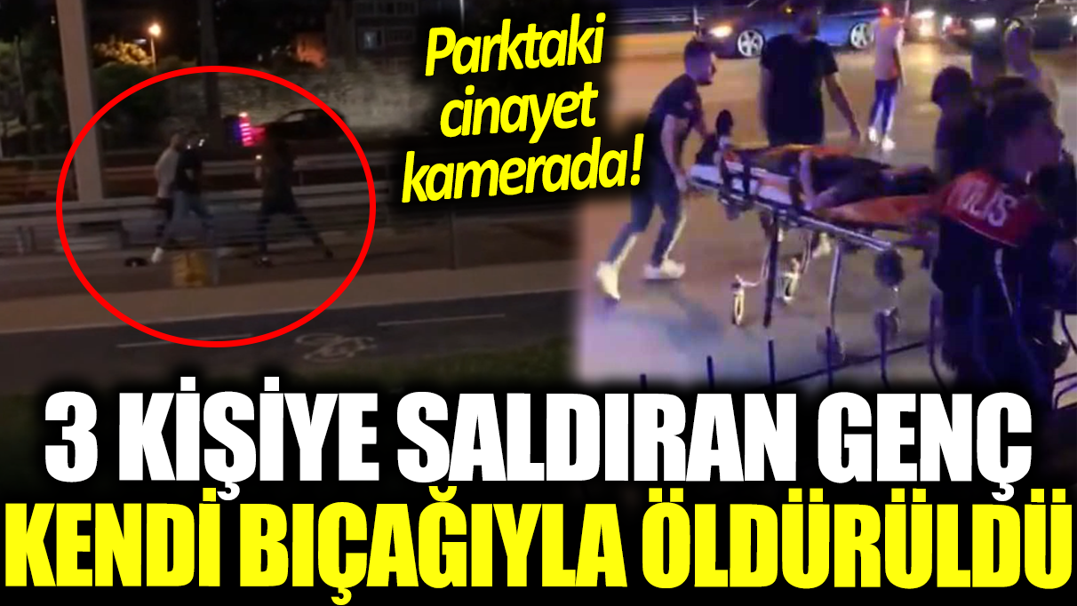 Parktaki cinayet kamerada! Saldırgan kendi bıçağı ile öldürüldü