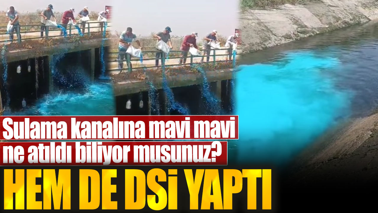 Sulama kanalına mavi mavi ne atıldı biliyor musunuz? Hem de DSİ yaptı