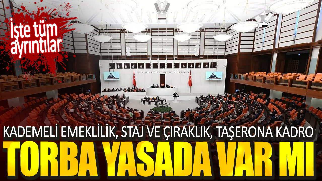 Kademeli emeklilik staj ve çıraklık taşerona kadro torba yasada var mı. İşte tüm ayrıntılar