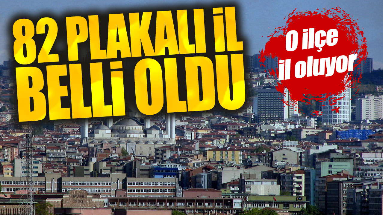 82 plakalı il belli oldu. O ilçe il oluyor