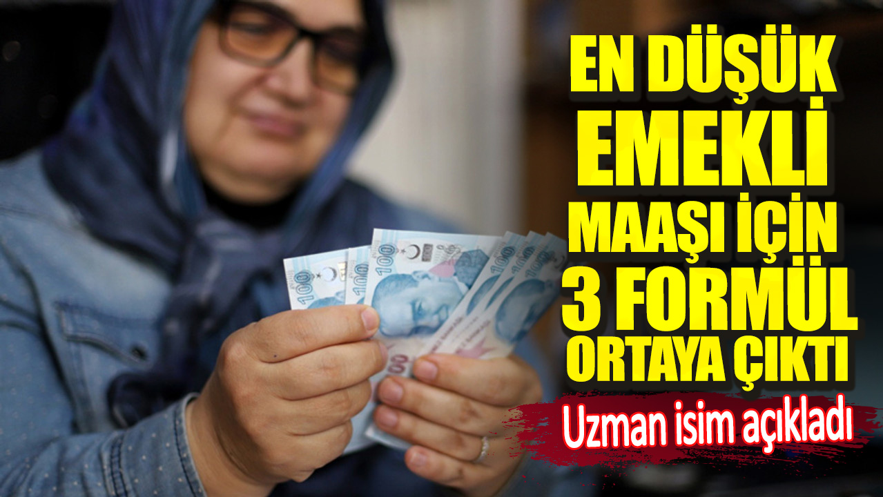 Uzman isim açıkladı. En düşük emekli maaşı için 3 formül ortaya çıktı