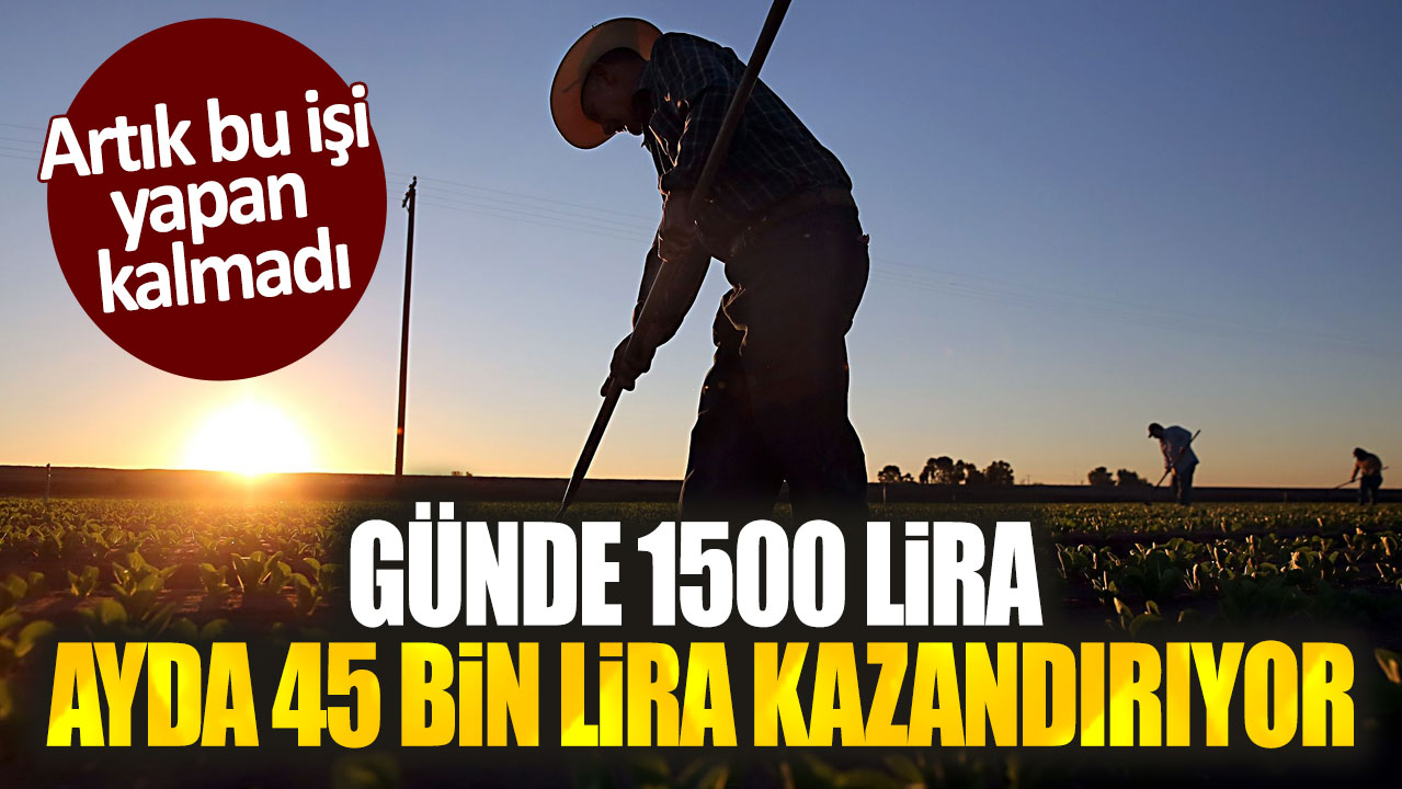 Günde 1500 lira ayda 45 bin lira kazandırıyor. Artık bu işi yapan kalmadı