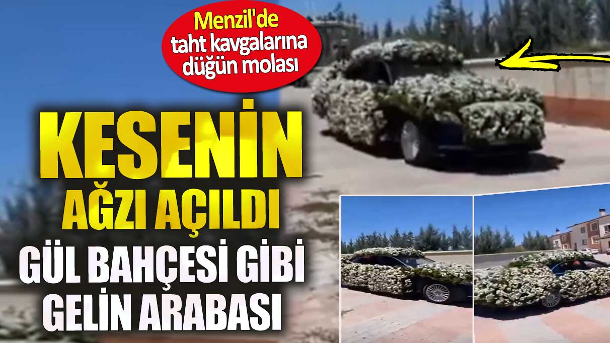 Menzil'de taht kavgalarına düğün molası. Kesenin ağzı açıldı