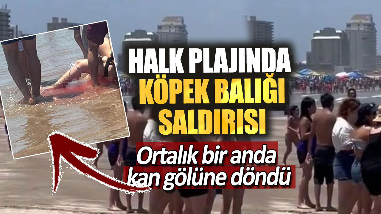 Halk plajında köpek balığı saldırısı. Ortalık bir anda kan gölüne döndü