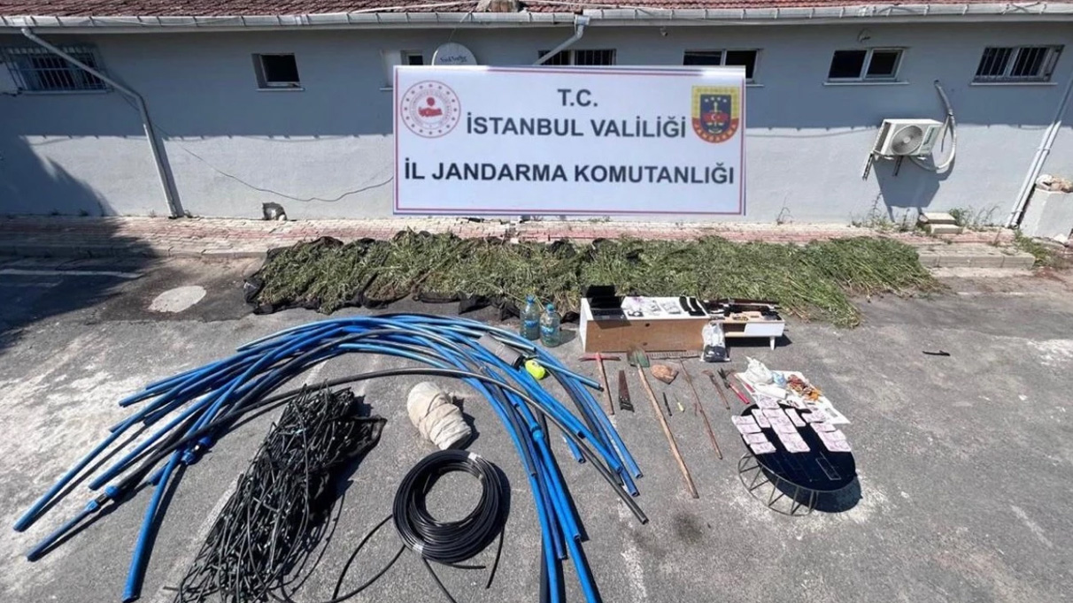 Kenevir ekimi yapanlara büyük operasyon