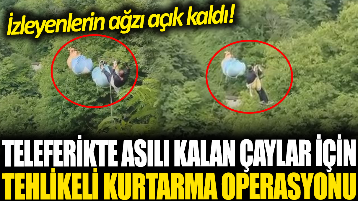 Teleferikte asılı kalan çaylar için tehlikeli kurtarma operasyonu: İzleyenlerin ağzı açık kaldı!