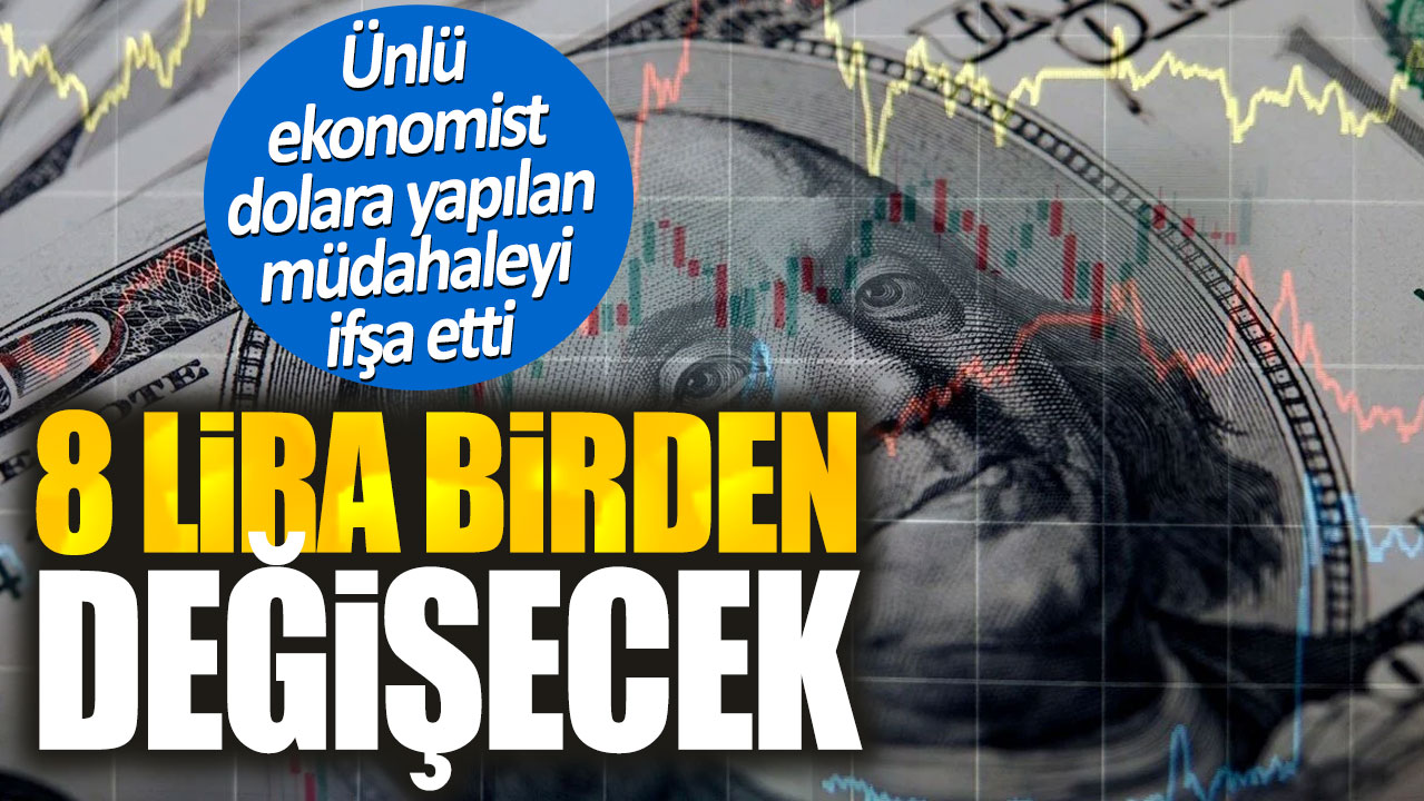 Dolar 8 lira birden değişecek. Ünlü ekonomist dolara yapılan müdahaleyi ifşa etti