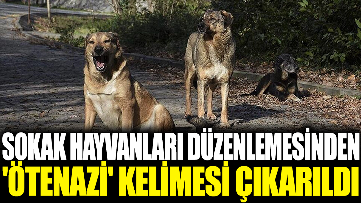 Son dakika... Sokak hayvanları düzenlemesinden 'ötenazi' kelimesi çıkarıldı