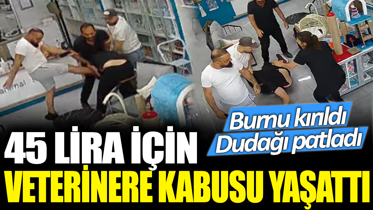 45 lira için veteriner hekime kabusu yaşattı! Burnu kırıldı! Dudağı patladı