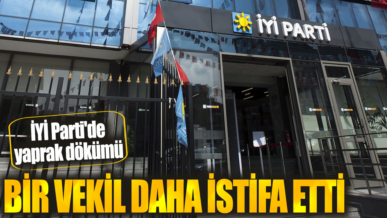 Son dakika... İYİ Partili Nimet Özdemir istifa etti