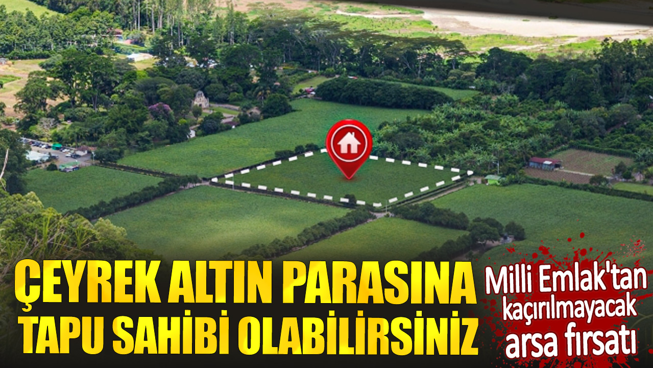 Çeyrek altın parasına tapu sahibi olabilirsiniz. Milli Emlak'tan kaçırılmayacak arsa fırsatı