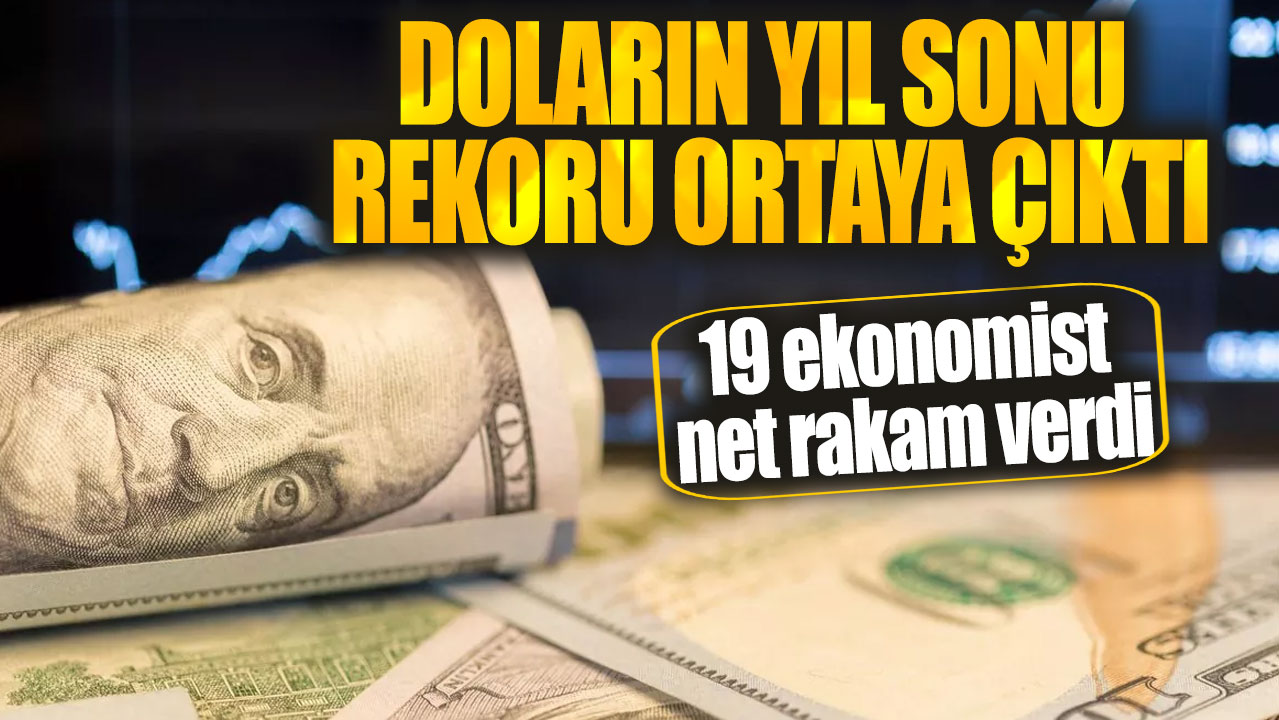 Doların yıl sonu rekoru ortaya çıktı. 19 ekonomist net rakam verdi