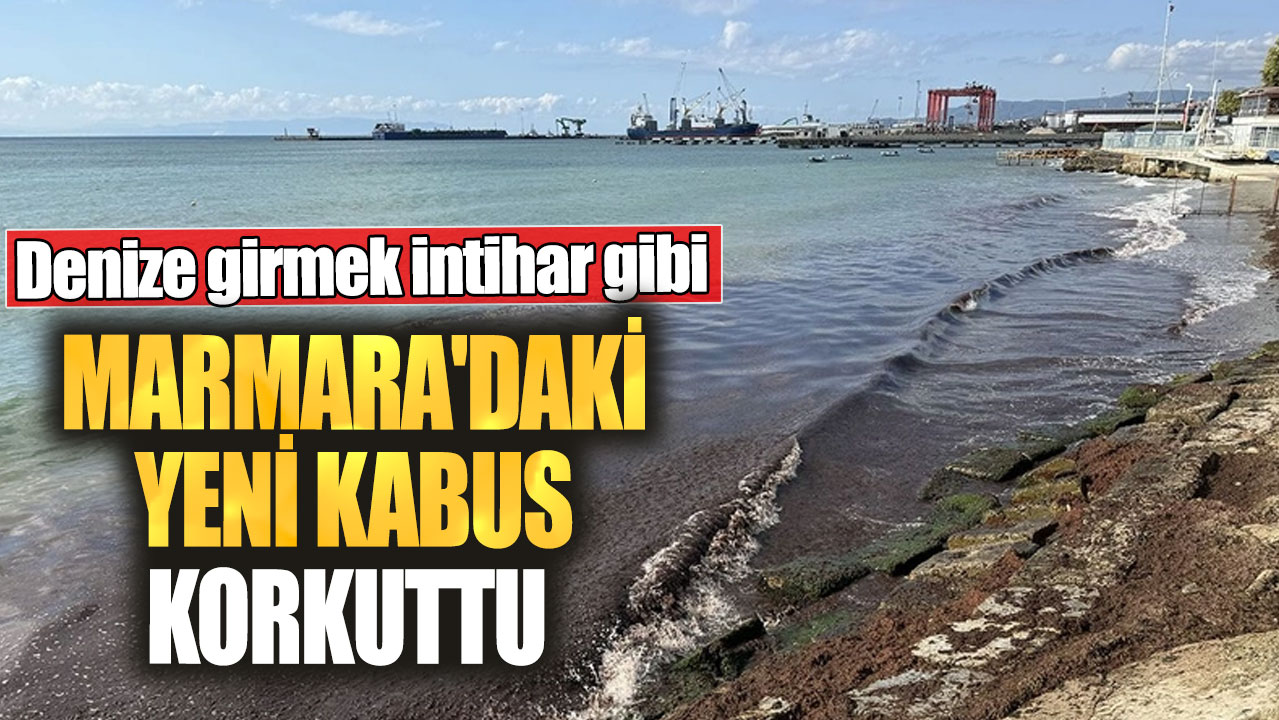 Marmara'daki yeni kabus korkuttu! Denize girmek intihar gibi