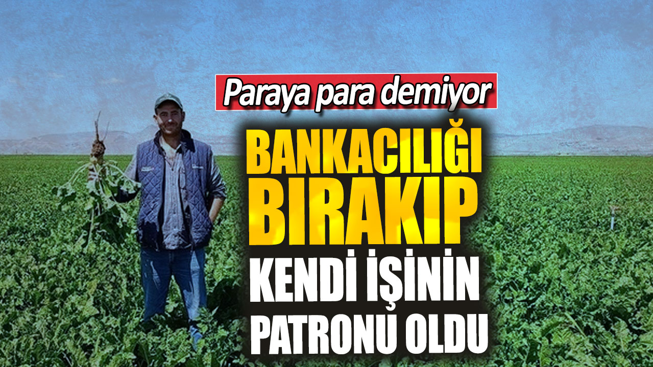 Bankacılığı bırakıp kendi işinin patronu oldu. Paraya para demiyor