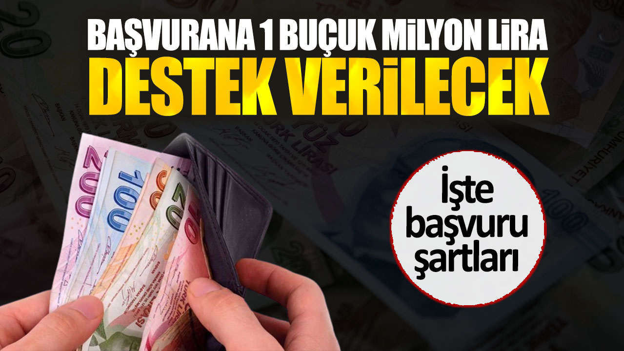 Başvurana 1 buçuk milyon lira destek verilecek. İşte başvuru şartları