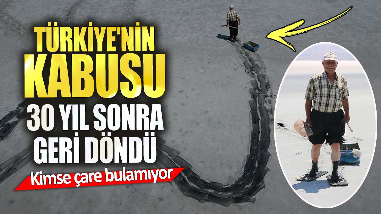 Türkiye'nin kabusu 30 yıl sonra geri döndü. Kimse çare bulamıyor